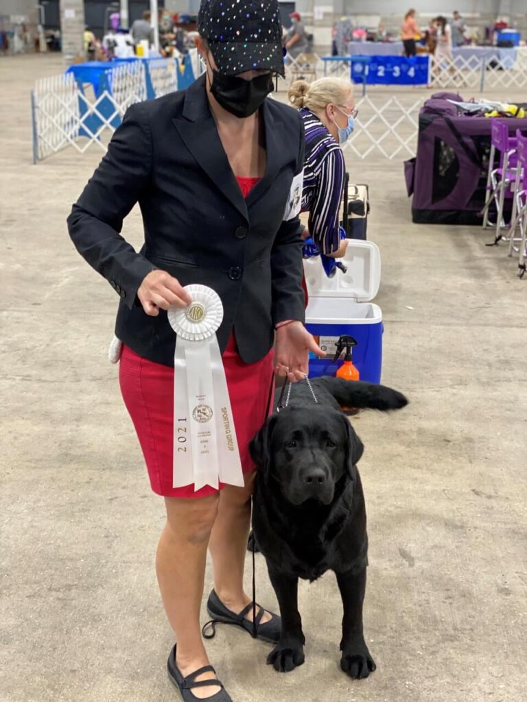 AKC Group 4 Sporting Dog Competition